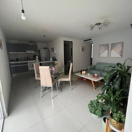 Departamento En Coyoacan Мексико Сити Екстериор снимка